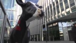 Европа на крстопат - дали победата на Трамп поттикнува замав на популистичките партии