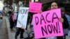 Demonstrators urging the Democratic Party to protect the Deferred Action for Childhood Arrivals Act (DACA) rally outside the office of California Democratic Sen. Dianne Feinstein in Los Angeles, Jan. 3, 2018. 