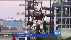 အူထဲလျှောက်သွားမယ့် ခူယားစက်၊ ရွှေတံဆိပ်ဆုရှင် ကြွက်လေး