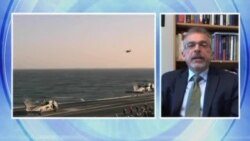 محسن میلانی، استاد دانشگاه فلوریدای جنوبی