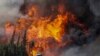 የፎርት ማክመሪው የዱር እሳት ቃጠሎ