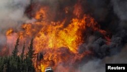 የፎርት ማክመሪው የዱር እሳት ቃጠሎ