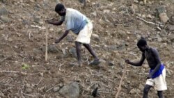 የኮንሶ ሕዝብ በዞን እራሱን በራሱ ለማስተዳደር ጥያቄ አቀረበ