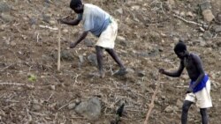 የኮንሶ እንደራሴ እንዲመለሱ ተጠየቀ