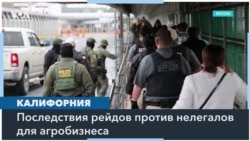 Влияние депортаций нелегальных иммигрантов на сельское хозяйство 
