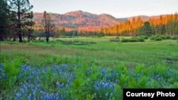 阿克森草原风景如画（国家公园管理局图片）