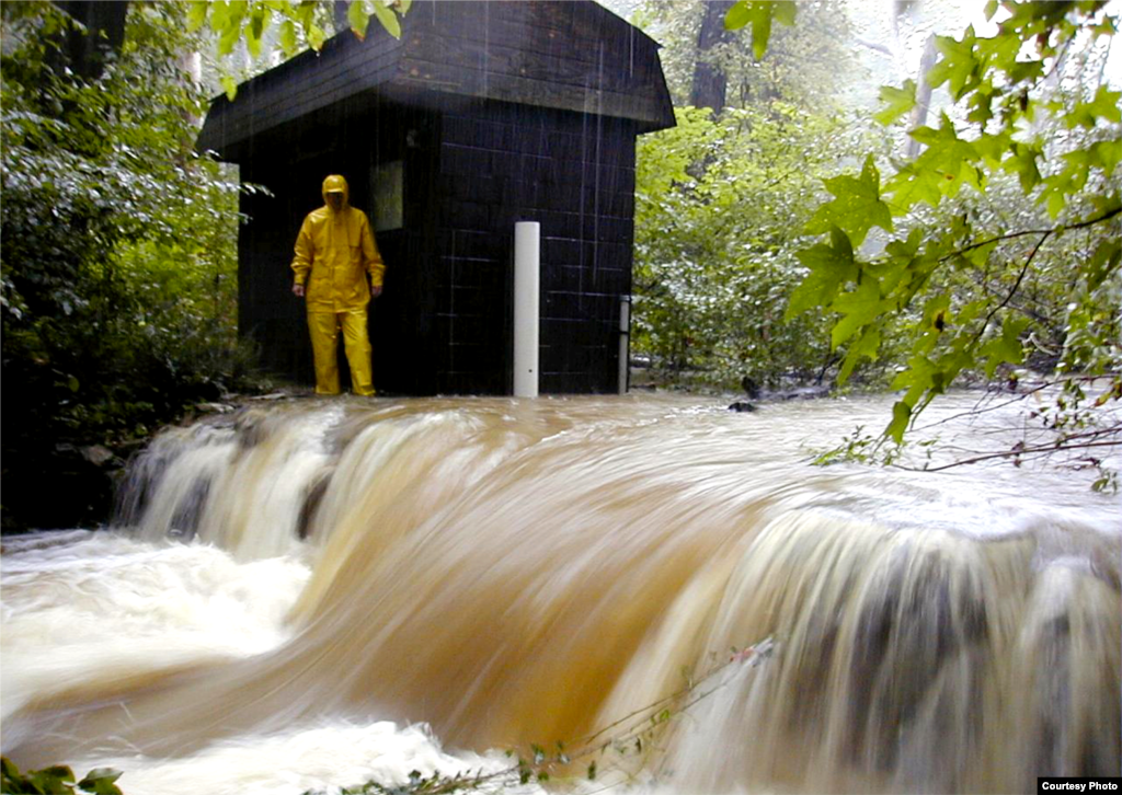 This stream at the base of the BiodiversiTree project is part of the Chesapeake Bay, the largest estuary in the United States that brings fresh water to millions of people on the East Coast of the United States. (SERC) 