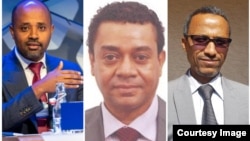 ዶ/ር ኢዮብ ተካልኝ፣ ዶ/ር ኢዮብ ተስፋዬ እና ዶ/ር ታደለ ፈረደ