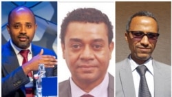 ውይይት በወቅታዊ የኢትዮጵያ ኢኮኖሚ ቁመና - ክፍል 1