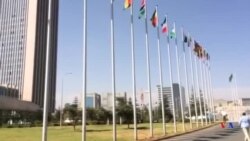 "በሙስና ላይ የሚካሄደውን ትግል ማሸነፍ"- የአፍሪካ መሪዎች ጉባዔ መሪ ቃል