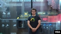 Kustos Adnan Zimić ispred postavke "Misterije Darwinovih žaba" u Zemaljskom muzeju