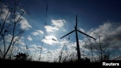 توربین‌های بادی- از منابع انرژی‌های پاک و تجدیدپذیر