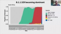 Une nouvelle variante de COVID-19 détectée en Afrique du Sud