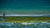 FILE - A man walks along the Indian Ocean as the tide goes out at Coco Beach in Dar es Salaam, Tanzania, Oct. 31, 2014.