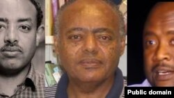 መስፍን ነጋሽ፣ ፕሮፌሰር መሳይ ከበደ፣ ሄኖክ የማነ 