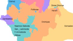 Hiriira Mormii Yaaballoo fi Shaashemanneetti Geggeessame