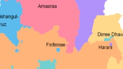 Dhaabonni Siyaasaa Naannoolee Oromiyaa fi Amaaraa Keessaa Jiran Dhimma Nageenyaa Irratti Marii Waloo Taasisan