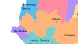 Jiraattonni Naannoo Lolichaa Gara Gaambellaatti Dheessaa Jiran, Jedhama