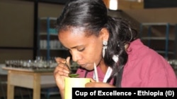 በዘንድሮው ውድድር ከ1ሺ በላይ የቡና ናሙናዎች ቀርበዋል