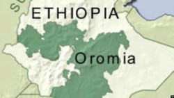 Godinaa Arsii Lixaa Keessatti Naqmoonni 400,000 Ol Tahan Beela’uu Beeksise, Mootummaan Godinichaa