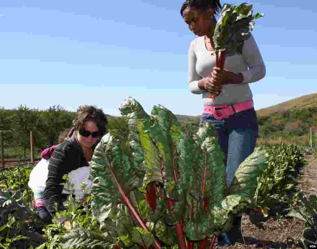 Sisa is not willing to participate in most activities at Ikhaya Loxolo (VOA/ D. Taylor) 