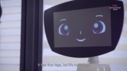 Հայաստանում ստեղծված Ռոբին Ռոբոտը ամերիկյան հիվանդանոցներում երեխաներին ժպիտ է պարգևում