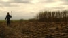 FILE - A worker harvests sugarcane near Swaziland's capital, Mbabane, June 2005. In Cameroon, the government is cracking down on the illegal import of sugar.