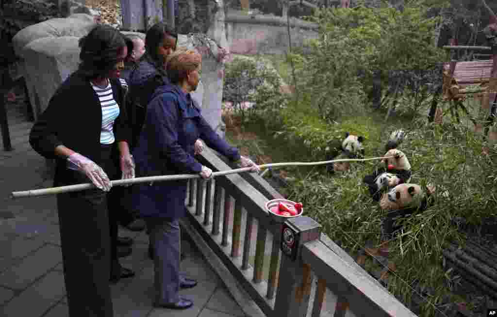 Ibu negara AS Michelle Obama (kiri) bersama ibunya, Marian Robinson dan kedua puteri Obama, memberi makan buah apel kepada panda-panda di kota Chengdu, Sichuan, China.