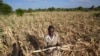 Extreme drought in southern Africa leaves millions hungry