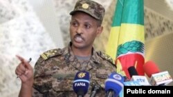 የኢትዮጵያ የመከላከያ ሠራዊት ቃል አቀባይ ኮሎኔን ጌትነት አዳነ