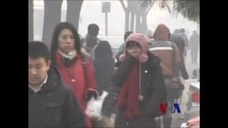 中国学者：让公益诉讼在环境法发挥作用