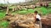Cambodian villagers affected by the loss of land in Prey Lang forest in the north of the country pray at a Buddhist shrine in central Phnom Penh, file photo. 