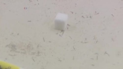 گسترش شیوع مالاریای مقاوم به درمان در میانمار