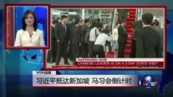 VOA连线：习近平抵达新加坡，马习会倒计时