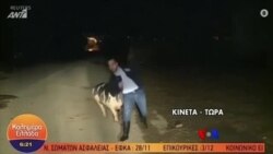 လျှပ်စစ်အင်ဂျင်နီယာဘွဲ့ရ ၉ နှစ်သား၊ တီဗွီထဲပါချင်တဲ့ ဝက်ကလေး