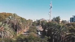 የወባ ሣምንት