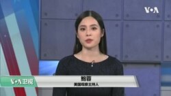 白宫要义: 特朗普解雇国防部长，在多州进行选举诉讼