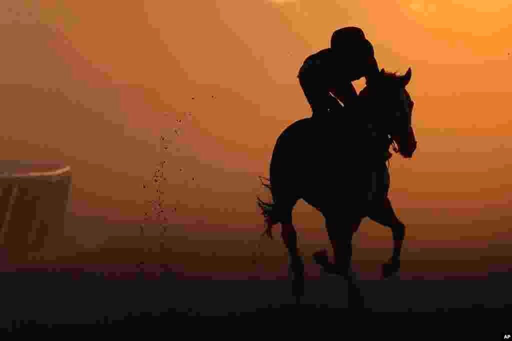 អ្នក​ជិះ​សេះ​ម្នាក់​ហ្វឹកហាត់ជិះ​សេះ​មួយក្បាល​ក្នុង​ល្បឿន​លឿន​នៅ​ក្នុង​សួន​ Belmont ក្នុង​ទីក្រុង​ Elmont បុរី​ញូវយ៉ក។