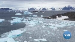Thaw Threatens Frozen Continent Protected by International Treaty 