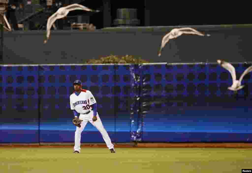 Pemain baseball dari Republik Dominika, Alejandro De Aza jam melihat burung-burung camar terbang di sekitar stadion selama pertandingan babak semi-final Kejuaraan Baseball Dunia melawan tim Belanda di San Francisco, California.