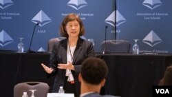 Cynthia Lee, a George Washington University professor and an expert on race and self-defense at a AALS new law teacher's workshop. 