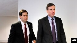 سناتور مارک وارنر (راست) و سناتور مارکو روبیو