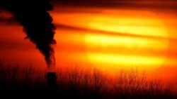 Science in a Minute: UN Chief Calls New Climate Change Report 'A Code Red for Humanity'