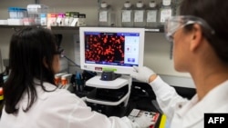 Dr. Sonia Macieiewski (R) and Dr. Nita Patel, Director of Antibody discovery and Vaccine development, look at a sample of a respiratory virus at Novavax labs in Rockville, Maryland, one of the labs developing a vaccine for the coronavirus.