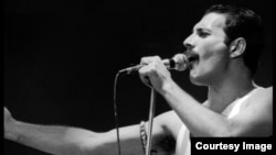 
فرِدی مرکوری که از پارسیان هند بود، تنها ۴۵ سال زندگی کرد. 