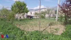 აღდგომის დღესასწაული დევნილობაში