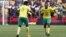 Les Bafana Bafana sud-africains jubilent après un but contre les Etalons burkinabè à Johannesburg, Afrique du Sud, 7 octobre 2017. (Twitter@FIFAWorldCup)