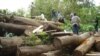 EU-Liberia to Sign Timber Exports Agreement Monday