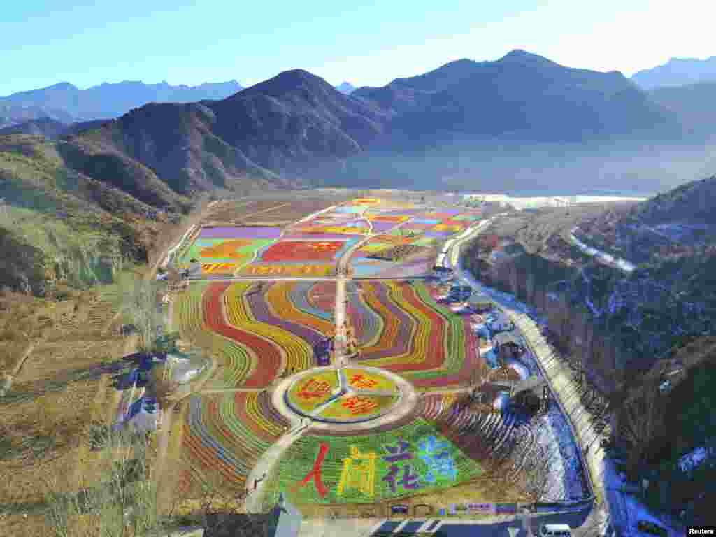 កង្ហារ​តួប៊ីន​ត្រូវ​បាន​រៀបដាក់​ក្នុង​ទម្រង់​ជា​អក្សរចិន​ ដែល​មាន​ន័យ​ថា សម្បត្តិ និង​សំណាង នៅ​កន្លែង​ទេសចរណ៍​មួយ​ក្នុង​ក្រុង​ប៉េកាំង ប្រទេស​ចិន។