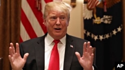 美国总统唐纳德·特朗普